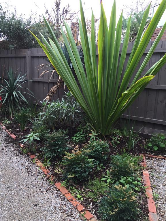 Garden Cottage St Kilda Melbourne Exterior foto